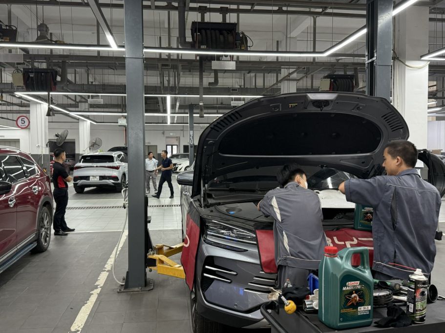 BYD fest_290925_5.jpg