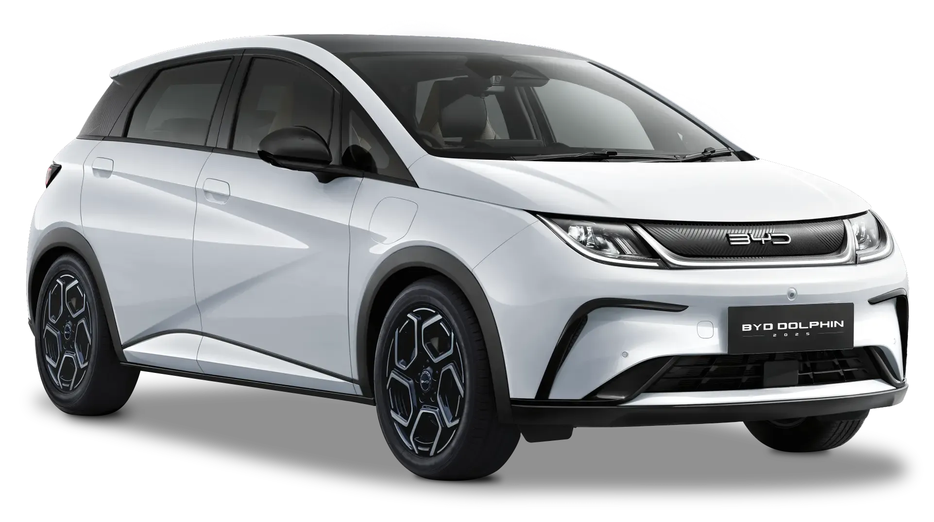 BYD Dolphin in Ski White