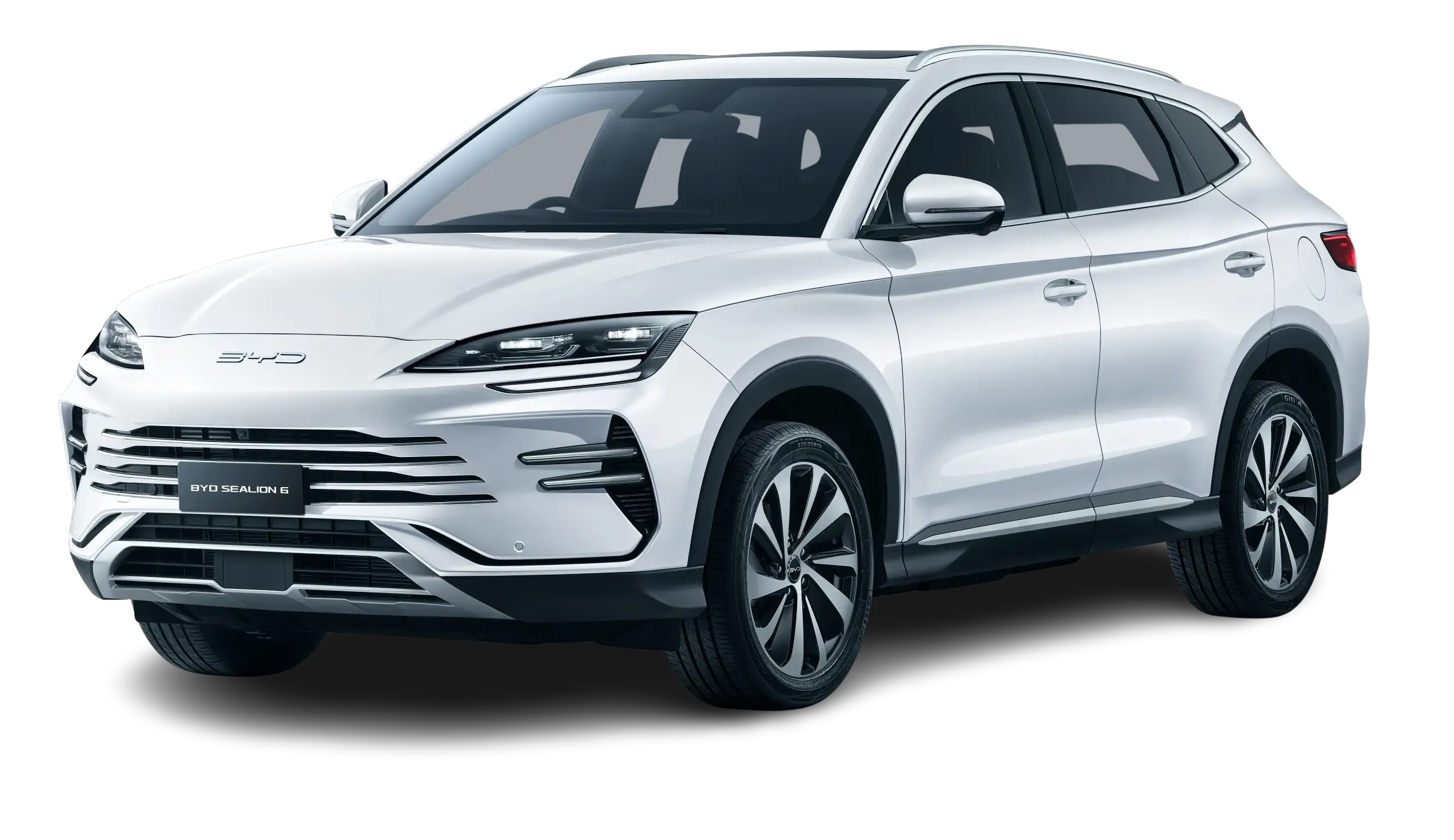 BYD Dolphin in Arctic White