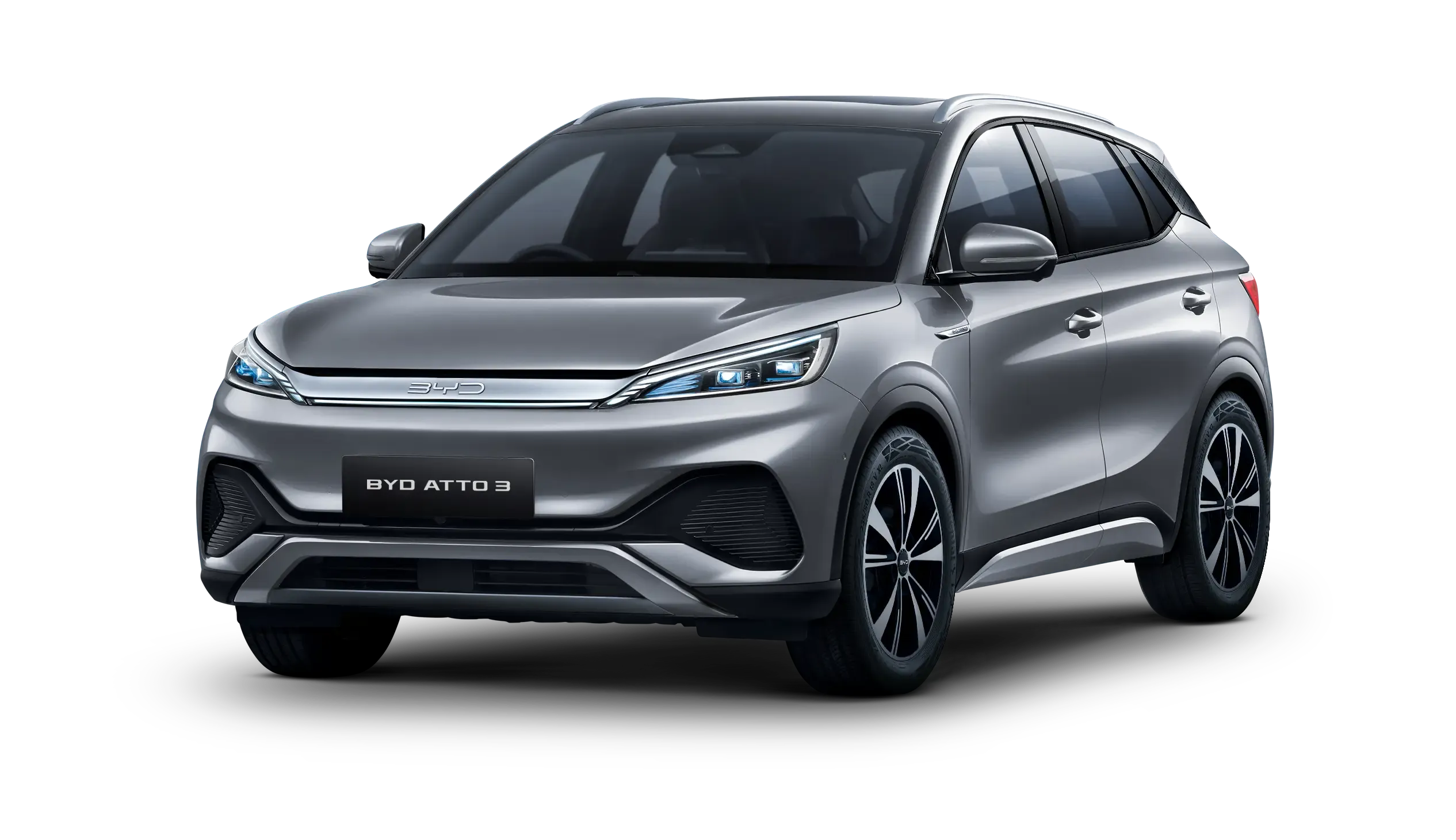 BYD Dolphin in Boulder Grey