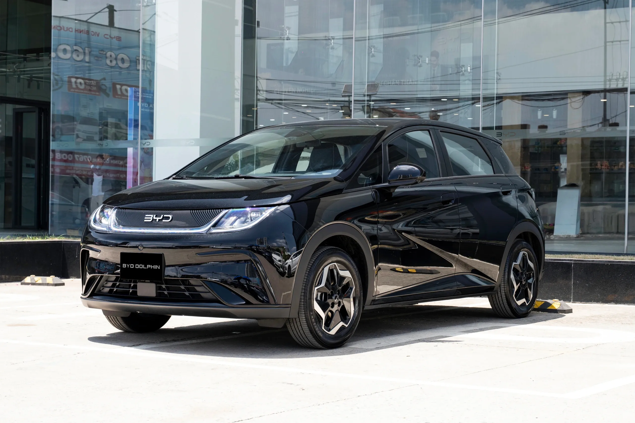 byd-dolphin-2026.webp