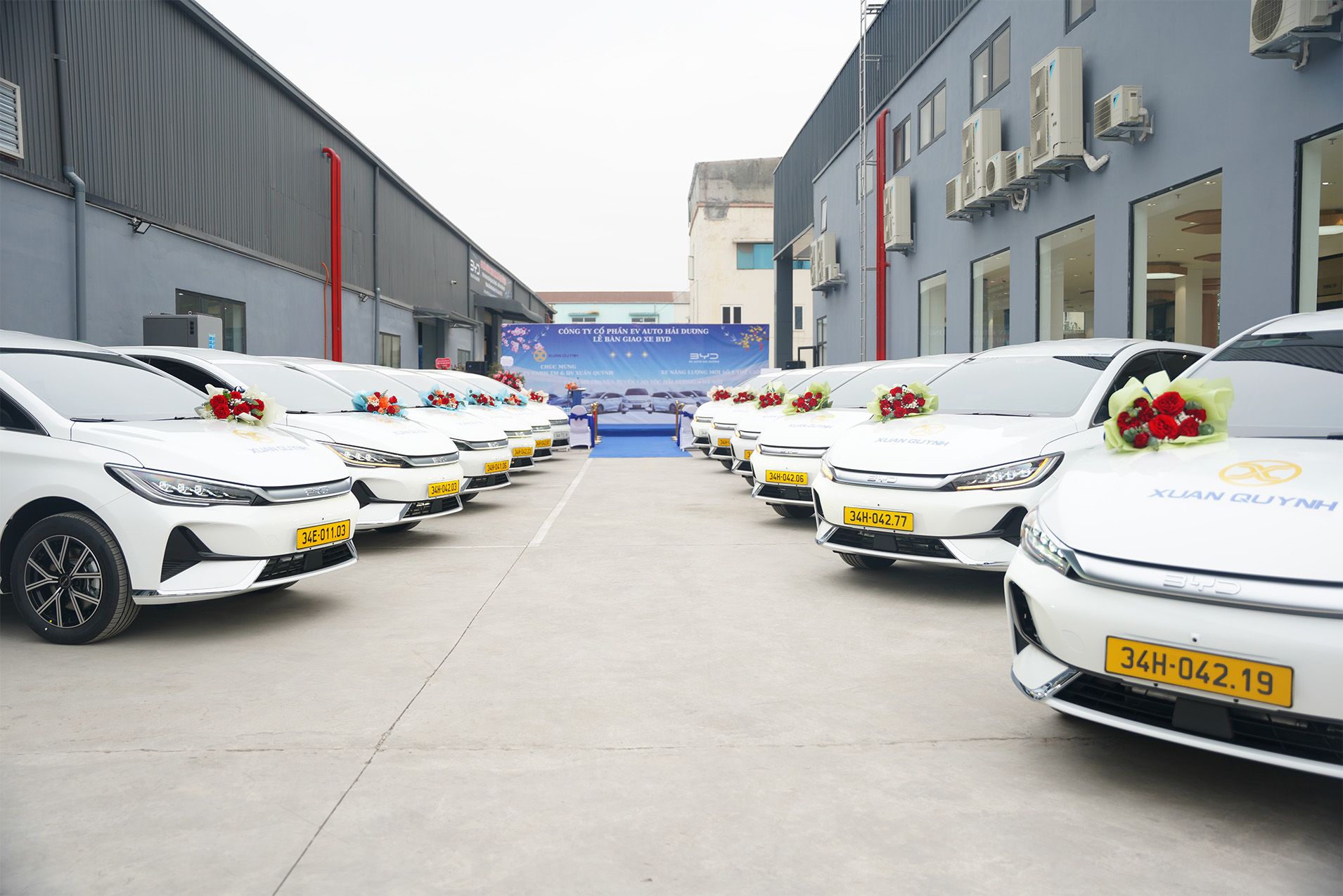 byd-m6-dich-vu.jpg