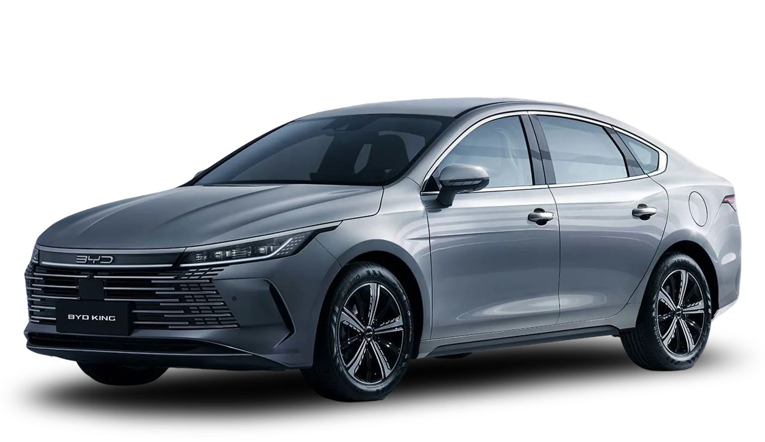 BYD Dolphin in Habour Grey