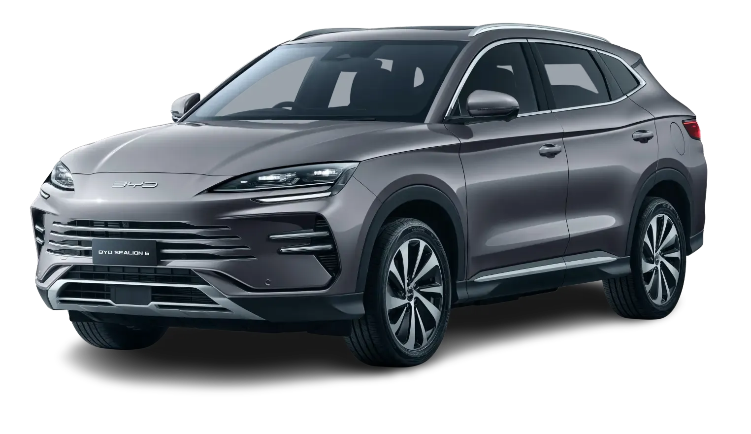 BYD Dolphin in Habour Grey