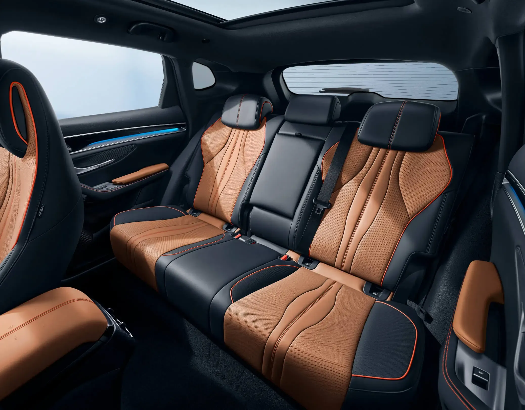 BYD Dolphin Interior Black + Brown - 2