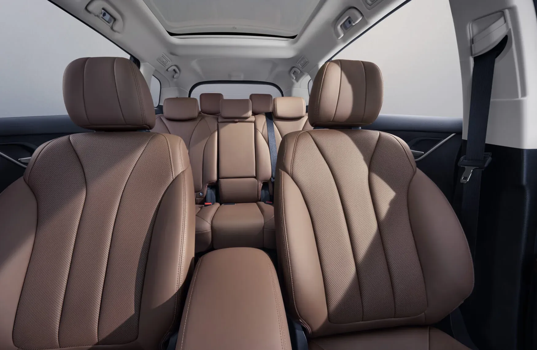 BYD Dolphin Interior Black + Brown - 1