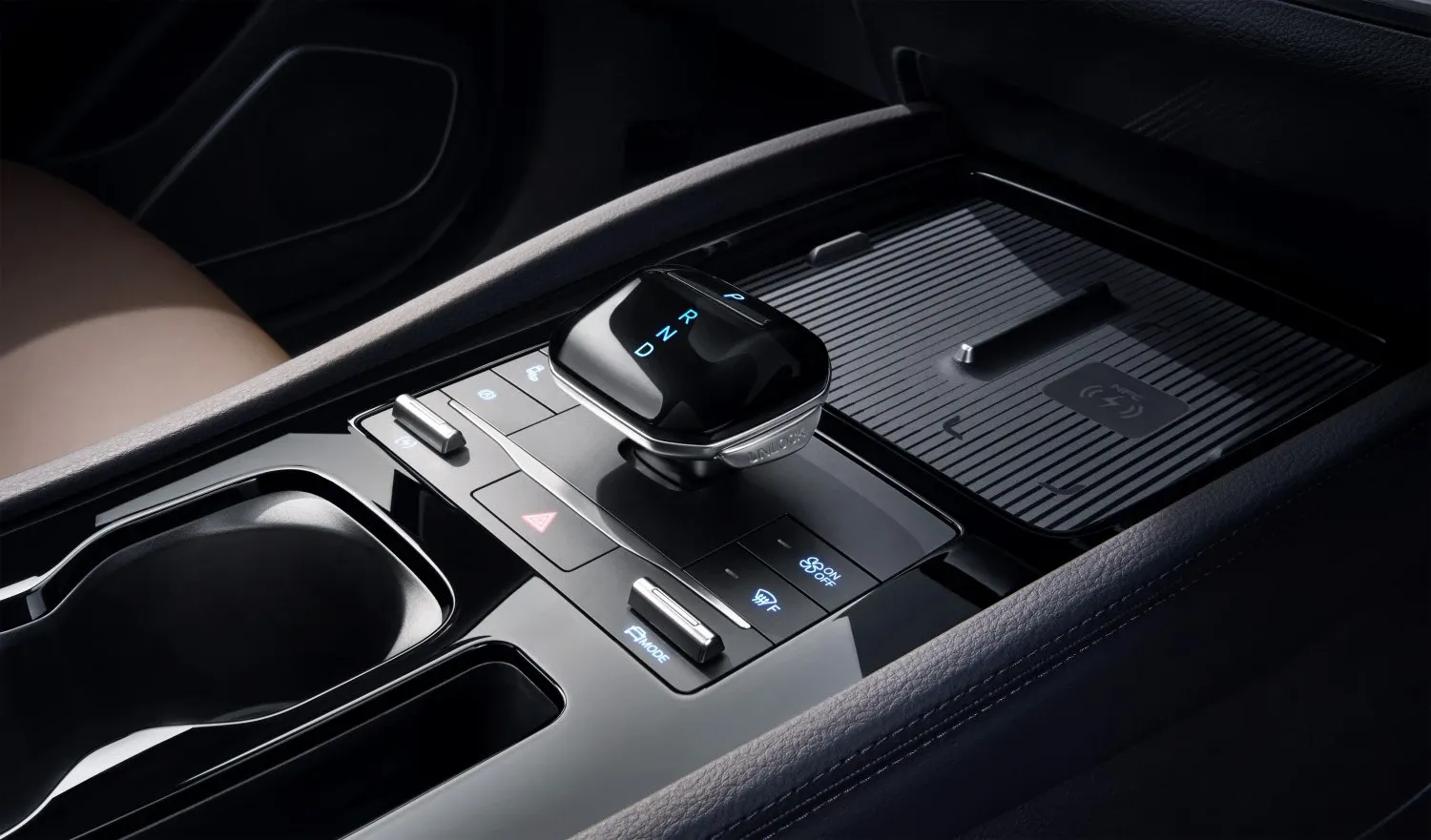BYD Dolphin Interior Black + Brown - 6