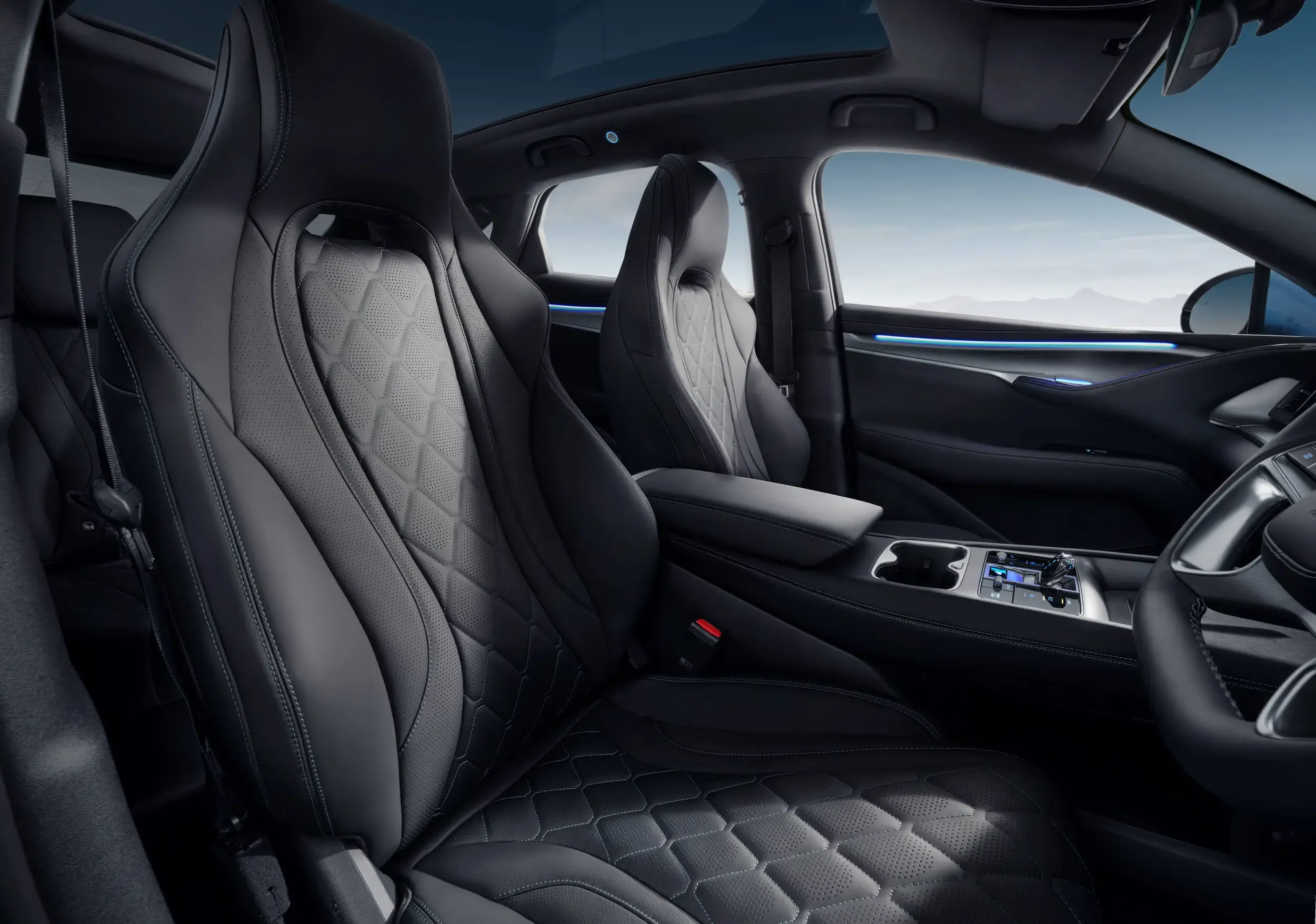 BYD Dolphin Interior Cosmos Black - 1