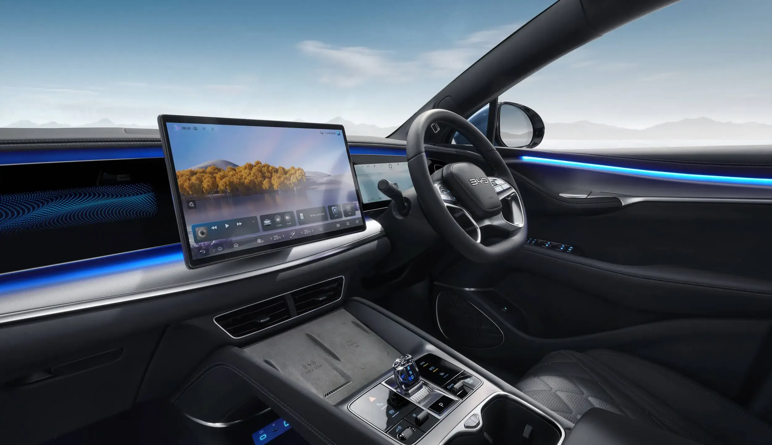 BYD Dolphin Interior Cosmos Black - 2