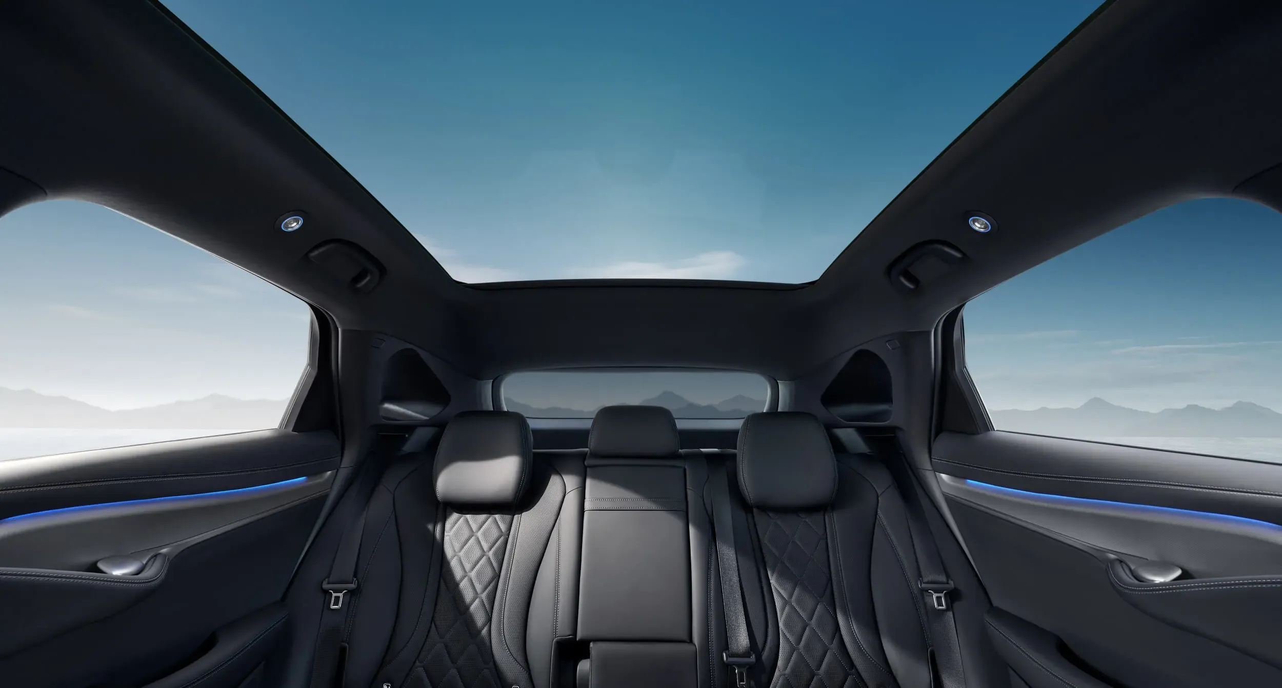BYD Dolphin Interior Cosmos Black - 4
