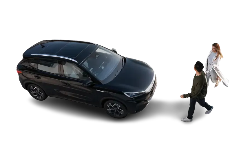 BYD Dolphin Premium Harbour Grey