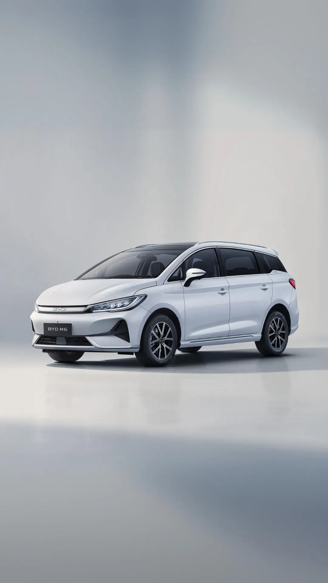 BYD M6
