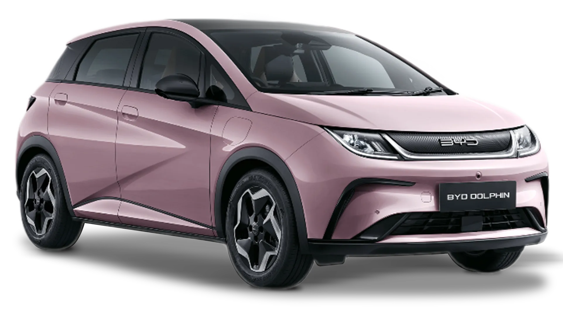 BYD Dolphin in Coral Pink
