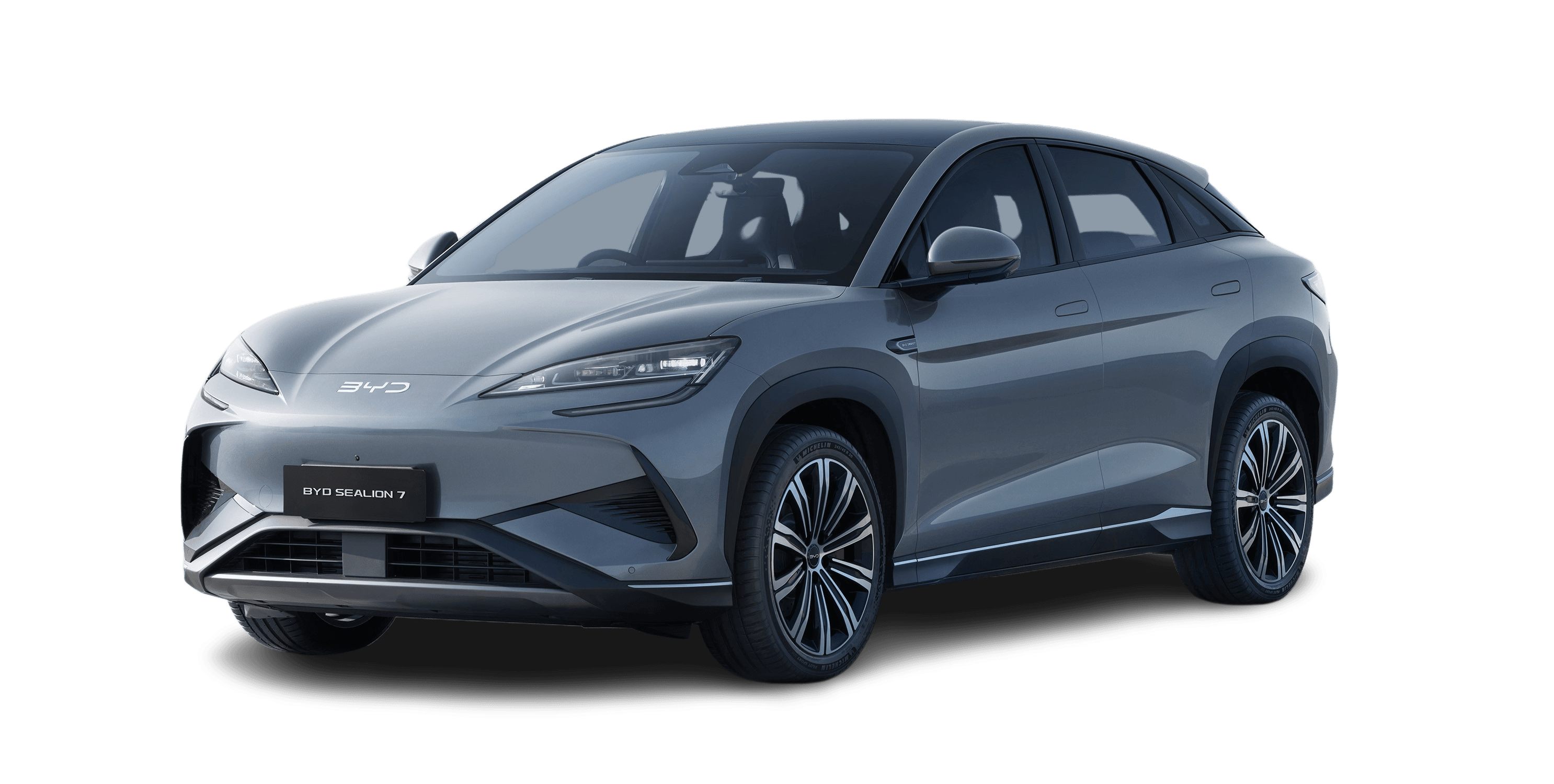 BYD Dolphin in Shark Grey