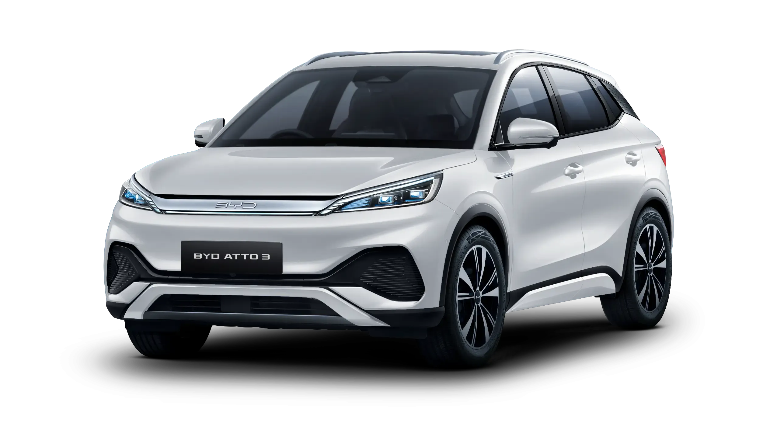 BYD Dolphin in Ski White