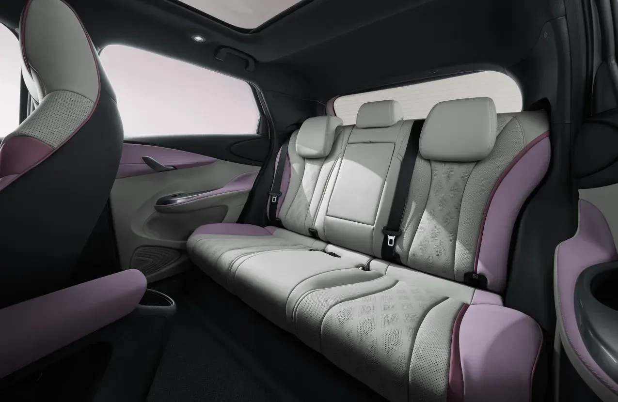 BYD Dolphin Gallery Image 5